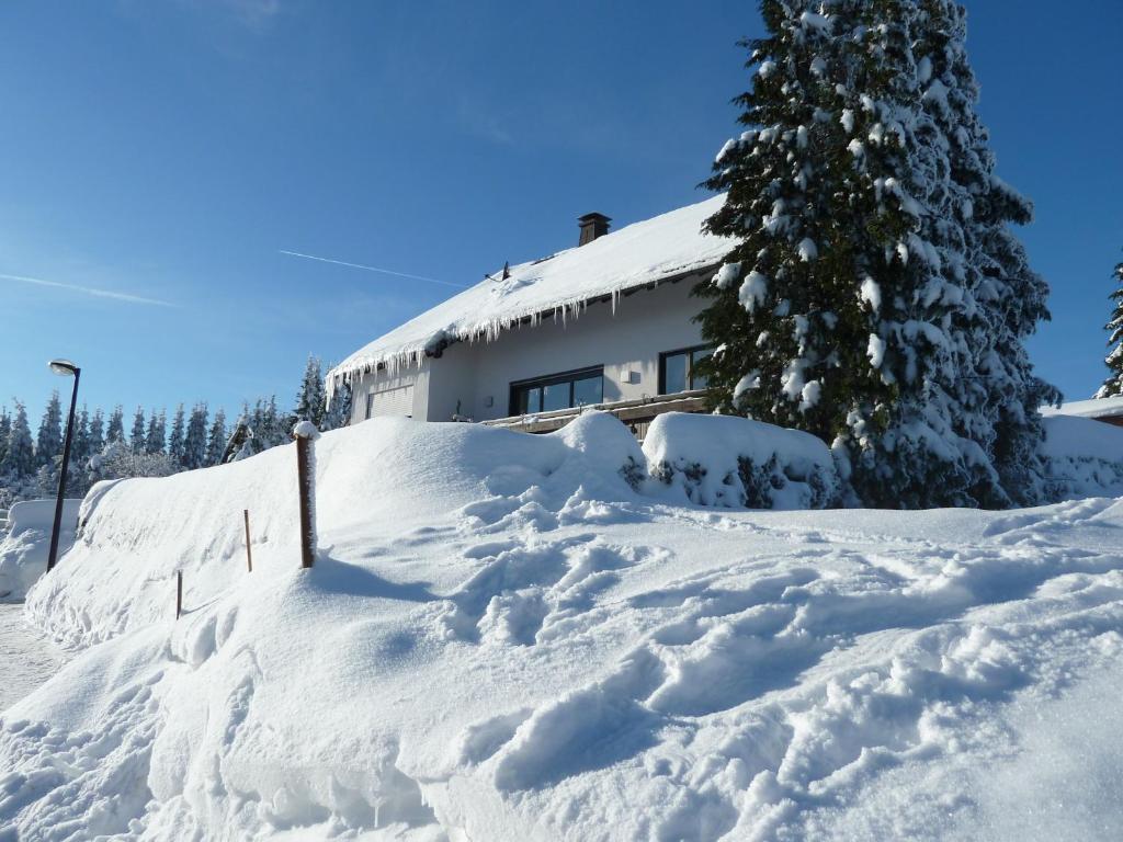 Apartment Jüngst Winterberg Exterior foto